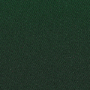  Темно-зелений DK.Green N41